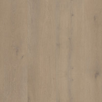 Attico 820 Dryback Belakos 